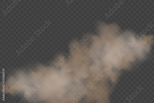 Dust cloud with dirt,cigarette smoke, smog, soil and sand particles. Realistic vector isolated on transparent background. Concept house cleaning, air pollution,big explosion,desert sandstorm.