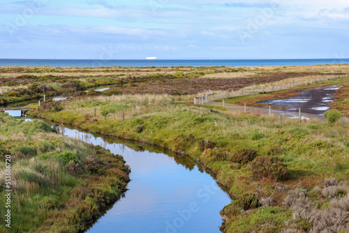 landscape of the river through wetlands to the ocean and ship