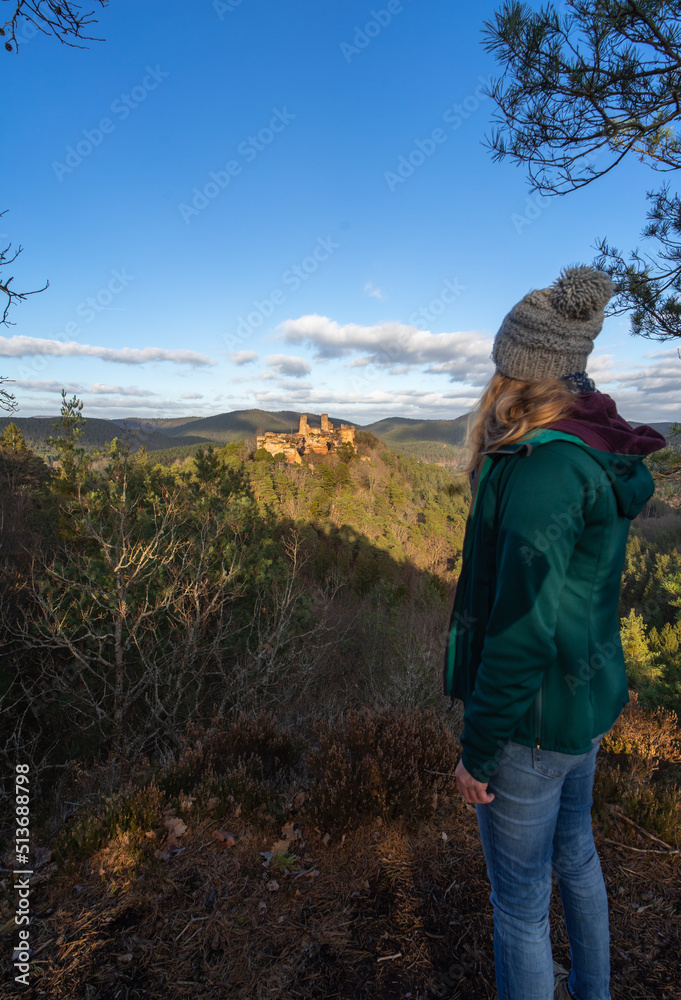 Hiking in the palatinate forest