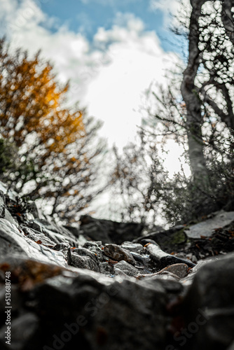 Rocky Path authumn