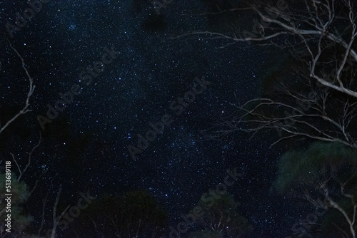 stars at night
