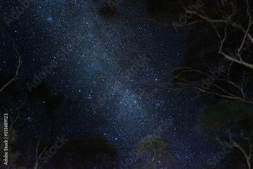 stars at night