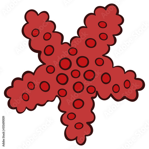 Starfish. Red inhabitant of the ocean. Marine invertebrate animal with a red pattern. Color vector illustration. Isolated background. Cartoon style. Idea for web design.