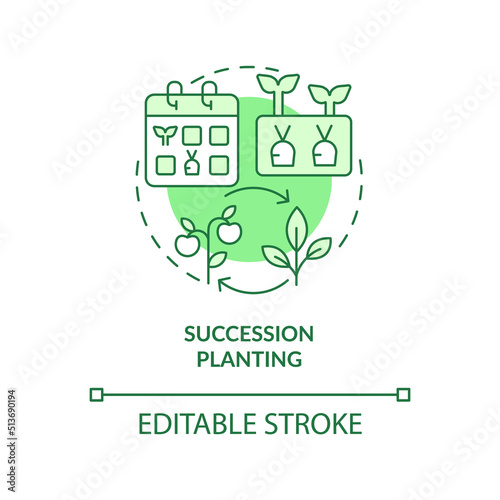 Succession planting green concept icon. One crop following another. Gardening method abstract idea thin line illustration. Isolated outline drawing. Editable stroke. Arial, Myriad Pro-Bold fonts used