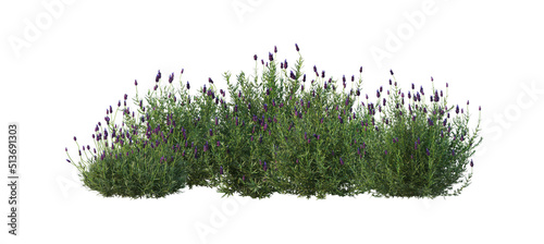 3D render flowers and shrubs with white background
