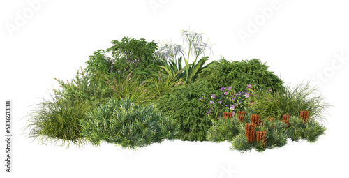 3D render flowers and shrubs with white background