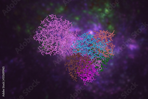 Shiga toxin produced by bacteria Shigella dysenteriae, which cause dysentery. Rendering with differently colored protein chains based on protein data bank. Scientific background. 3d illustration photo