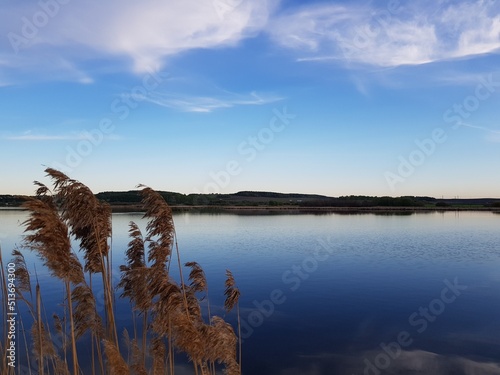 Yellow grass on the shore of a blue lake