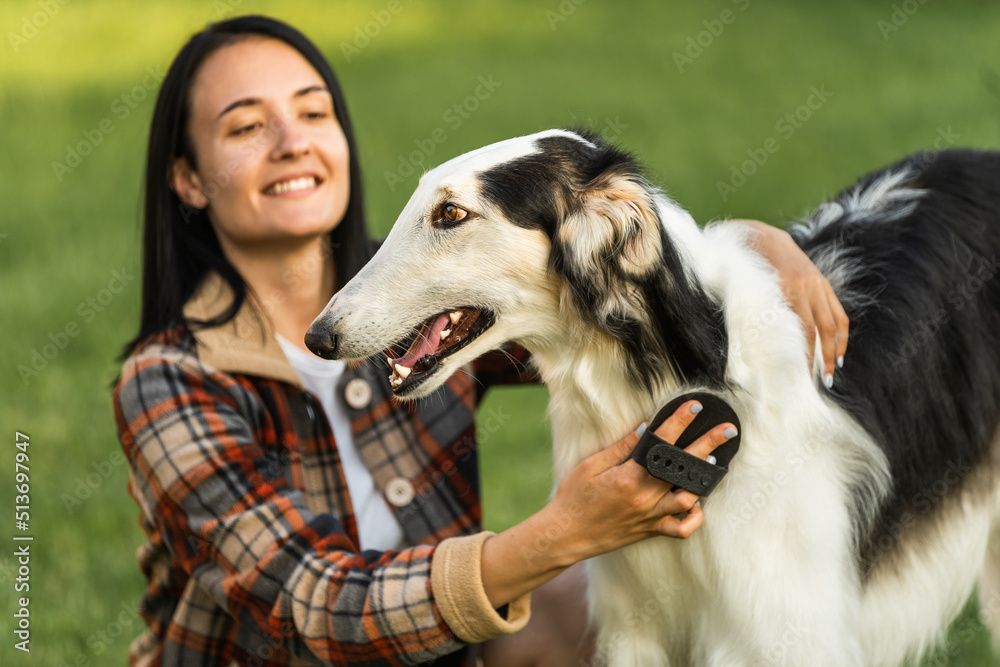 Satisfied girl combs her dog on the street Satisfied girl combs her dog on the street