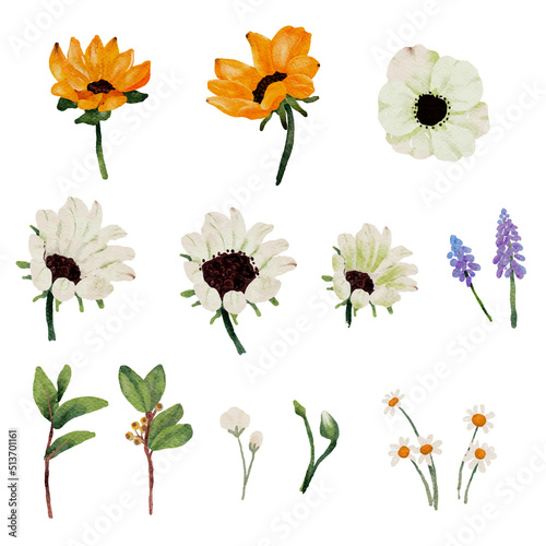 watercolor sunflower and white anemone flower bouquet elements collection