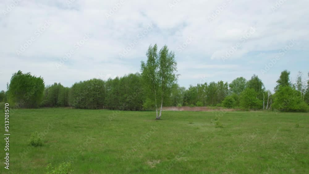 an agricultural field with a lonely tree (aerial view) an agricultural field with a lonely tree (aerial view)