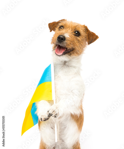 dog patriot of ukraine