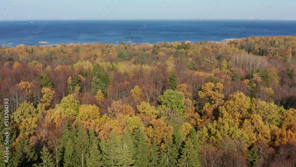 St. Petersburg in autumn, a natural monument landscape park St. Petersburg in autumn, a natural monument landscape park