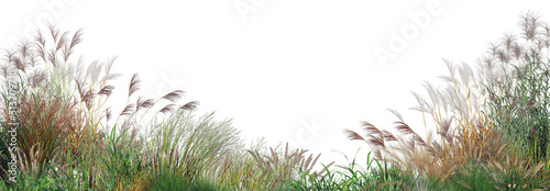3d render grass and shrub with white background