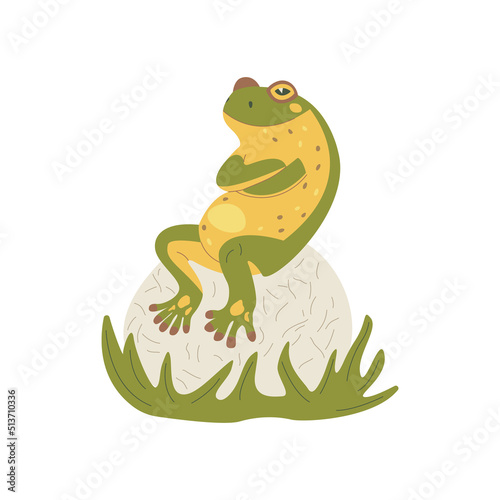 Funny frog sits on a stone with its paws folded on its chest. Funny green amphibian. Colorful vector isolated illustration hand drawn