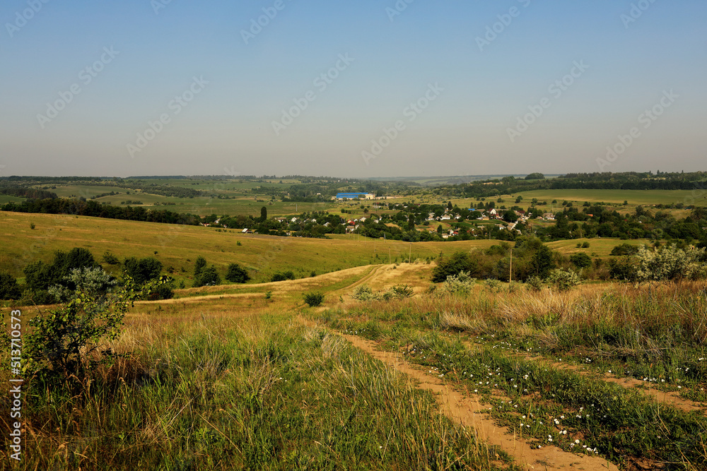 fields and meadows of Ukraine