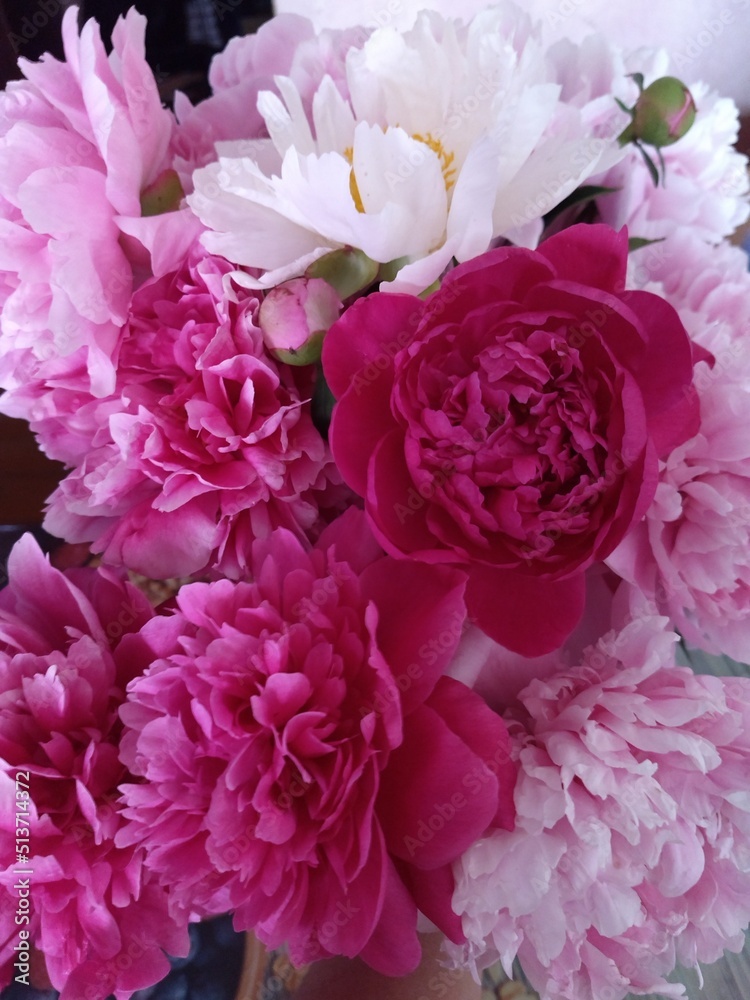 bouquet of pink peony