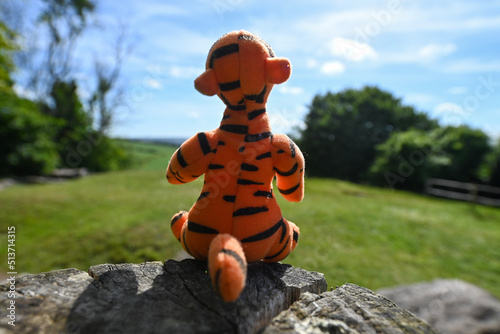 Foto tigger