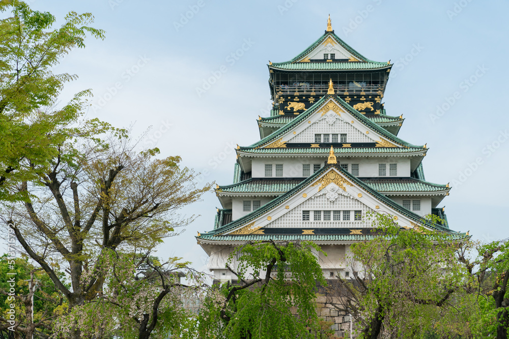 low angle shot of beautiful Osaka castle against clear blue sky and surrounded by trees at springtime in japan low angle shot of beautiful Osaka castle against clear blue sky and surrounded by trees at springtime in japan