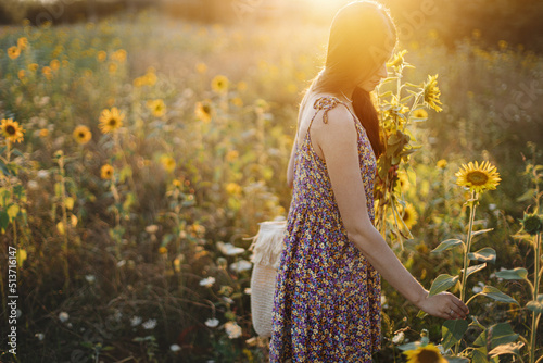 Beautiful woman gathering sunflowers in warm sunset light in summer meadow. Tranquil atmospheric moment in countryside. Stylish young female in floral dress picking sunflowers in evening field