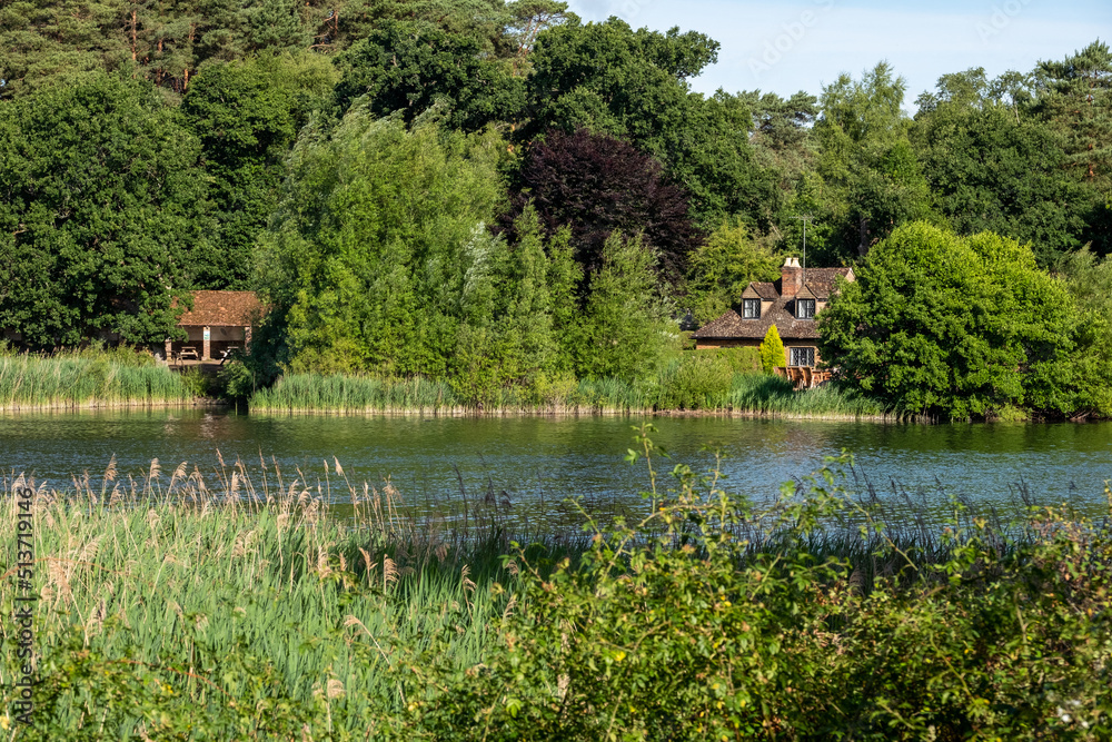 Frensham Little pond, Farnham, Surrey, UK