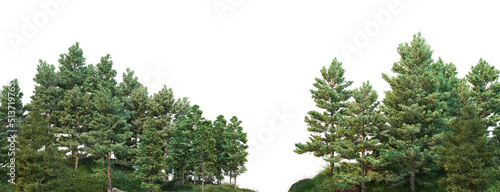 3d render forest with white background