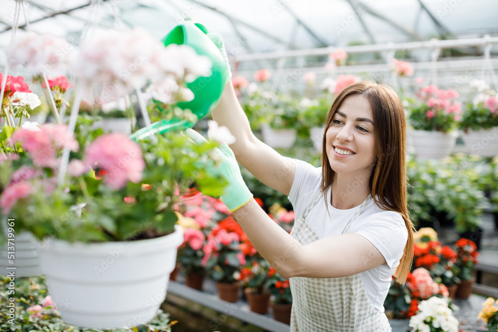 A young woman stands in the middle of a large greenhouse and pours pots from a watering can. The concept of caring for houseplants