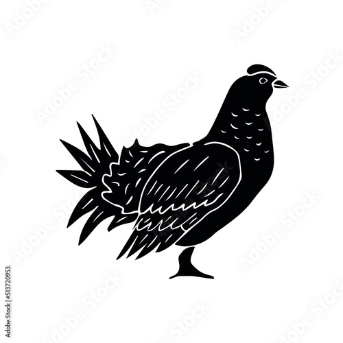 Tela Vector hand drawn doodle sketch black grouse bird isolated on white background