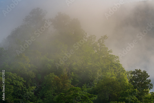 Scenic landscape view of tropical forest on hill with early morning fog, in Chiang Dao rural countryside, Chiang Mai, Thailand