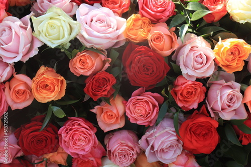 Colorful wedding roses
