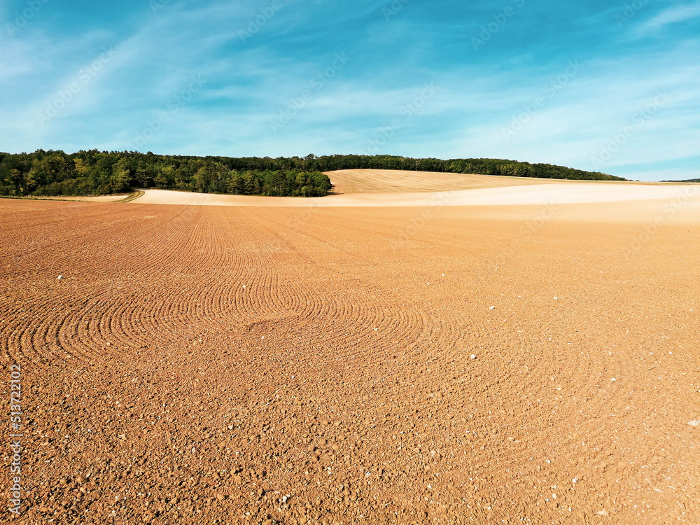 Naklejka premium Champs de l'Yonne