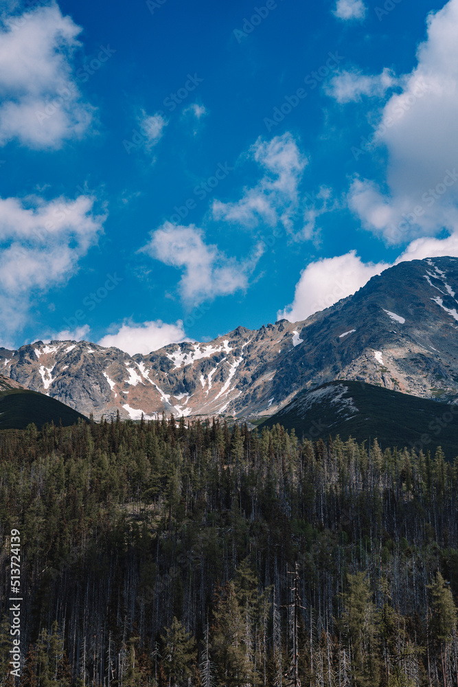 View of High Tatras mountain range near Velické pleso. View of High Tatras mountain range near Velické pleso.