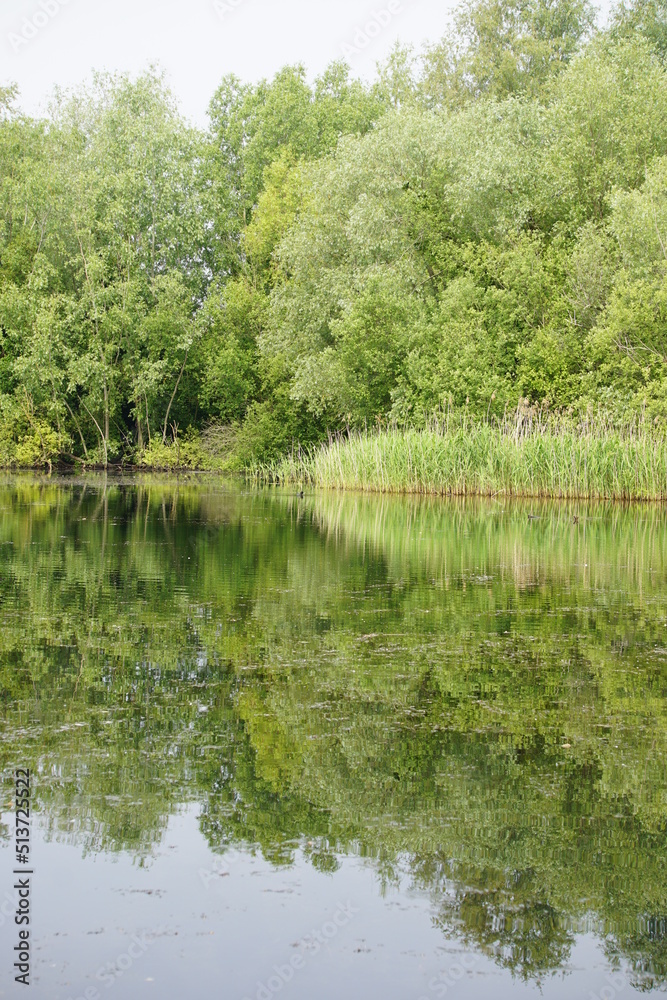 Lake views in Milton Country Park, Cambridge, June 2022 Lake views in Milton Country Park, Cambridge, June 2022