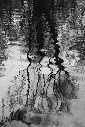 black and white background of trees reflecting in the water