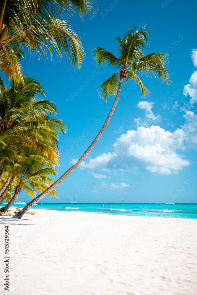 Obraz premium Vacation summer holidays background wallpaper - sunny tropical Caribbean paradise beach with white sand in Seychelles Praslin island Thailand style with palms