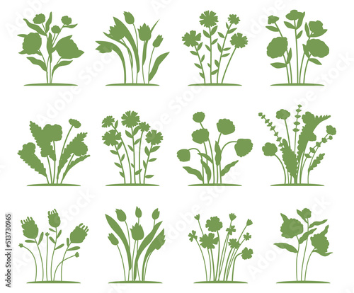 Spring forest and garden flowers Vector Silhouettes Collections