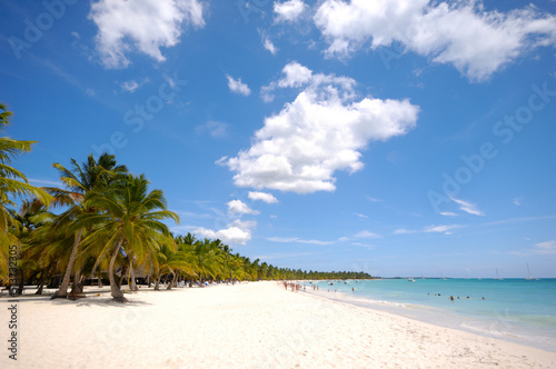 Tropical beach. The Dominican Republic  Saona Island