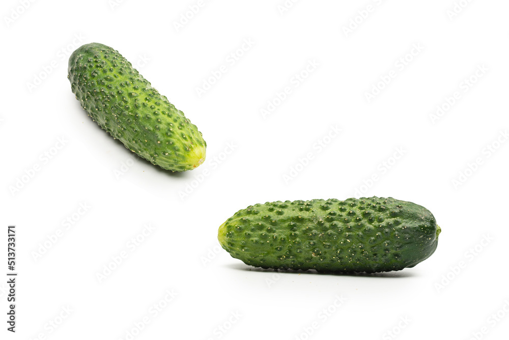 Fresh green cucomber isolated on white background. Fresh green cucomber isolated on white background.