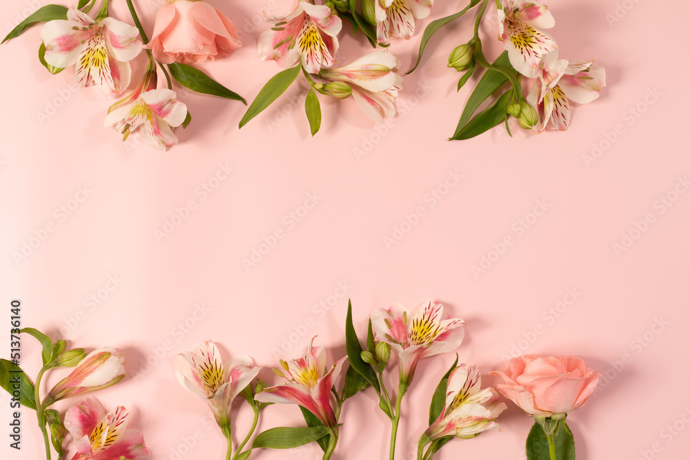 Spring beautiful flowers on pink background.