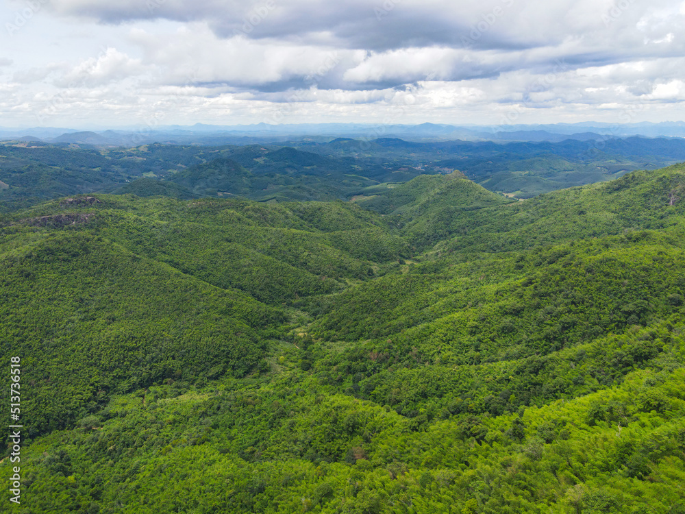 Aerial view forest trees background jungle nature green tree on the mountain top view , forest hill landscape scenery of river in southeast Asia tropical wild