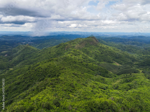 Aerial view forest trees background jungle nature green tree on the mountain top view , forest hill landscape scenery of river in southeast Asia tropical wild