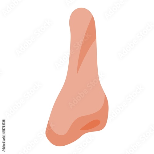 Nose surgery lift icon isometric vector. Before lift. Doctor face
