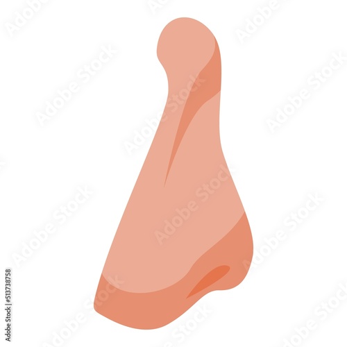 Anatomy facelift icon isometric vector. Nose surgery. Before lift