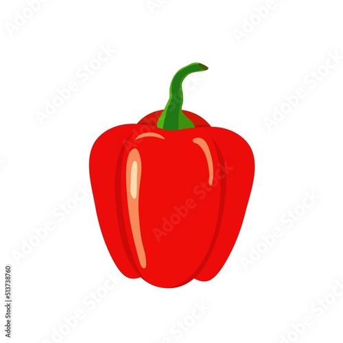 Vector illustration of red ripe bell pepper. Healthy plant base diet vegetables microbiome gut health concept