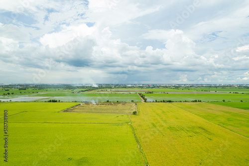 field background, top view landscape, nature