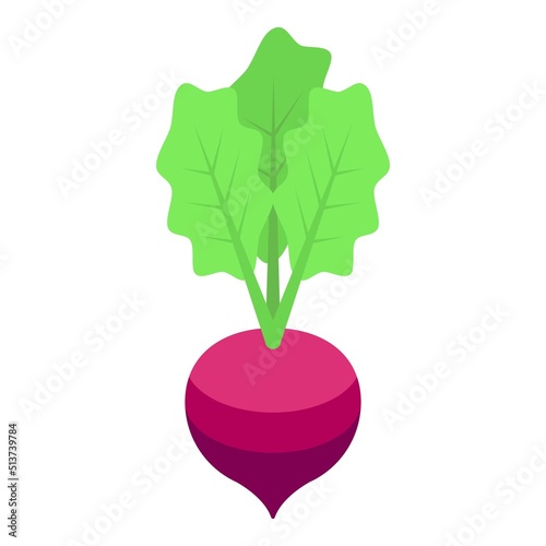 Radish zinc icon isometric vector. Nutrition supplement. Calcium health