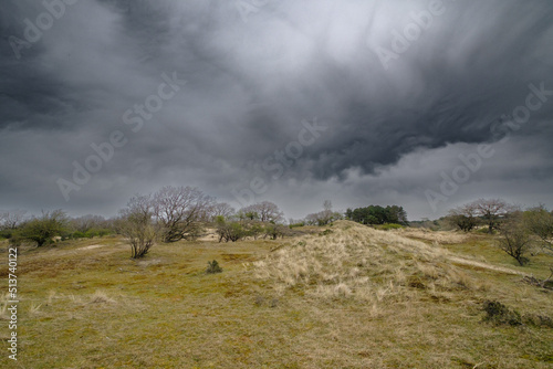 Amsterdamse Waterleidingduinen photo