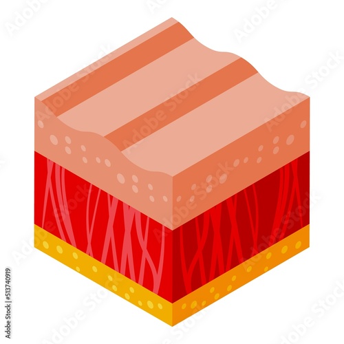 Healthy skin icon isometric vector. Molecule cell. Age protein