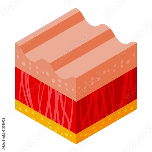Healthy skincare icon isometric vector. Collagen skin. Molecule cell