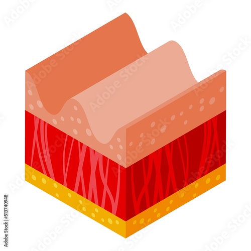 Old skin icon isometric vector. Molecule cell. Age protein